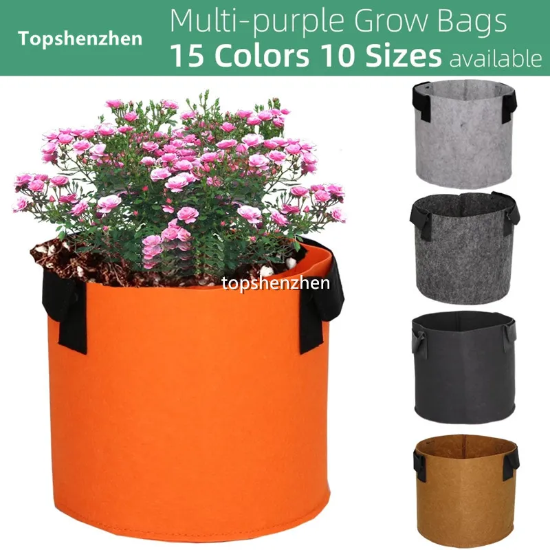 planter terrariums NCYP Close 11.8