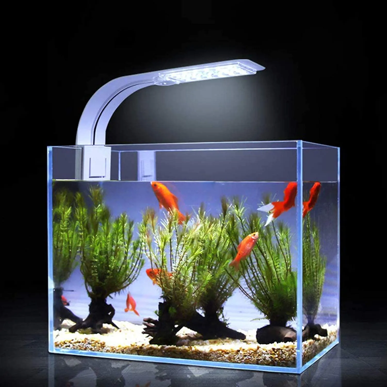 Aquarium Led Light, Avec Télécommande, Éclairage Pour Aquariums Plantés  Deau Douce Et Poissons Aquatiques, Des Réductions Pour Tout Le Monde