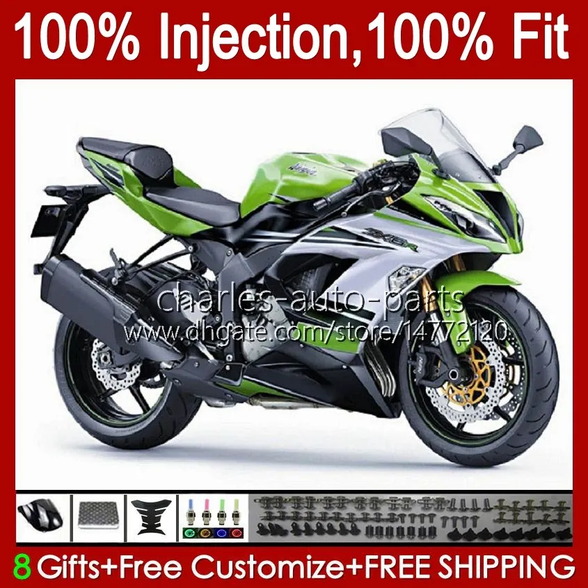 Carénages d'injection pour KAWASAKI vert blanc NINJA ZX 6R 6 R 636 600 CC 600CC 12No.27 ZX600 ZX636 ZX6R 13 14 15 16 17 18 ZX-636 ZX-6R 2013 2014 2015 2016 2017 2018 Corps OEM