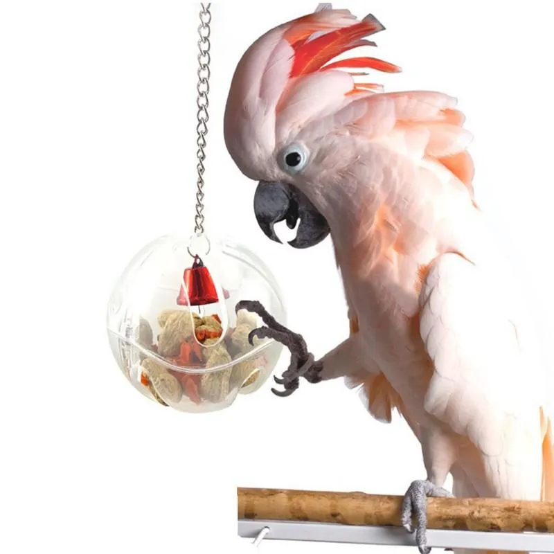 Andra fågelförsörjningar roliga papegojor leksaker husdjur papegoja intelligens mat boll matare hängande fåglar som foder kedja burtillbehör