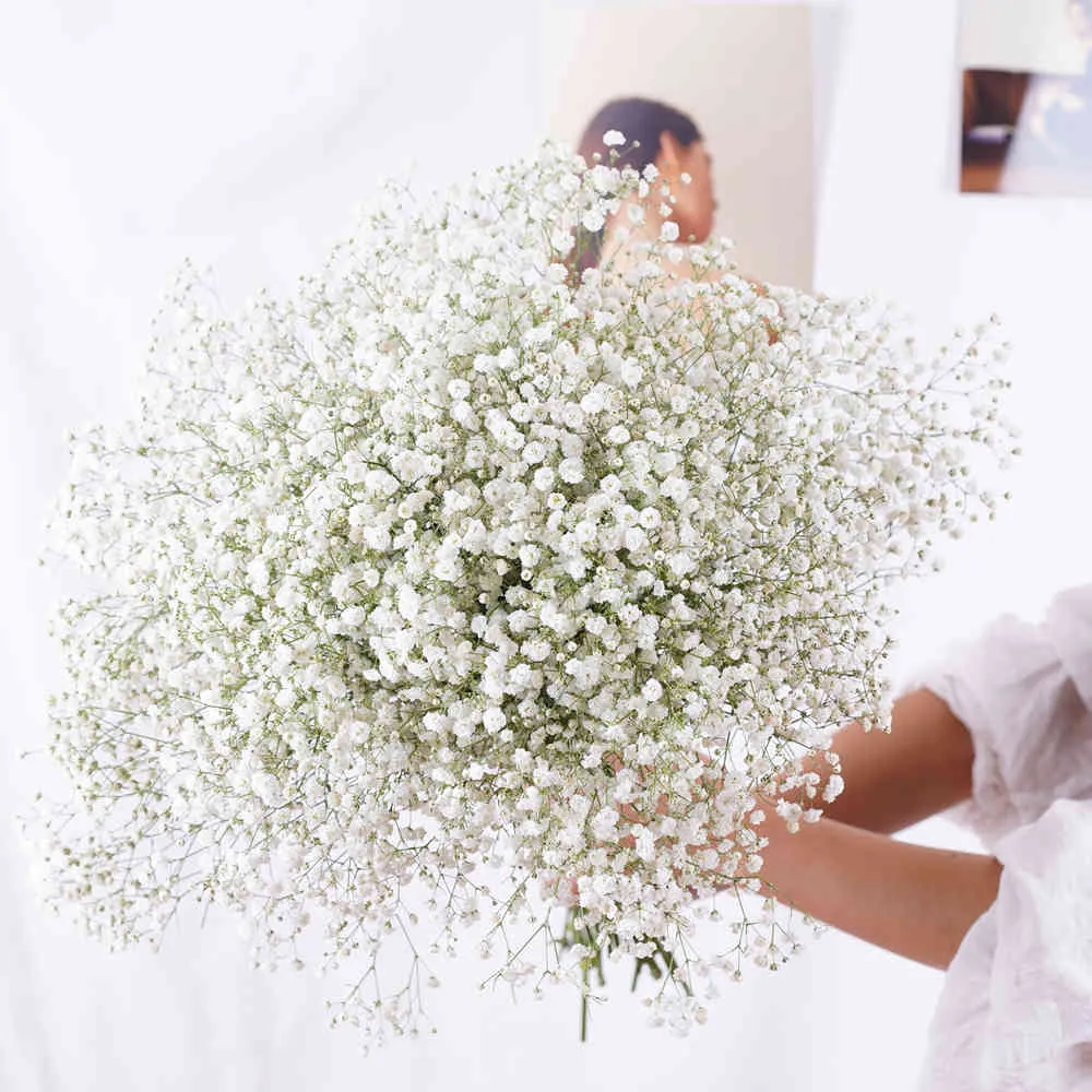 Natural fresco secado preservado flores gypsophila paniculata bebê respiração bucets presente para festa de casamento dekoration