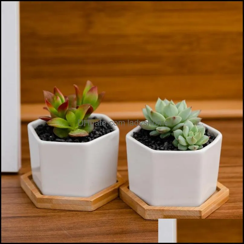 Ceramic Bonsai Pots Mini White Porcelain Flowerpots Succulent Garden Indoor Home Nursery Planters Sea Shipping HWB7103