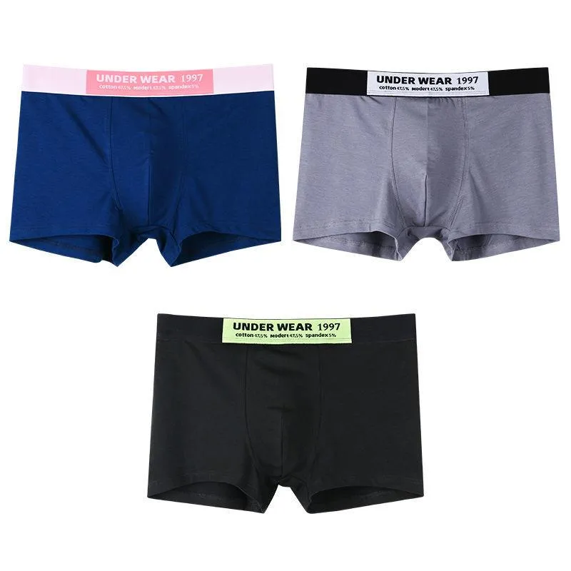 Cuecas cuecas boxer homens algodão sexy homens cueca calcinha para dois três moda juventude calzoncillos homem roupas majtki meskie