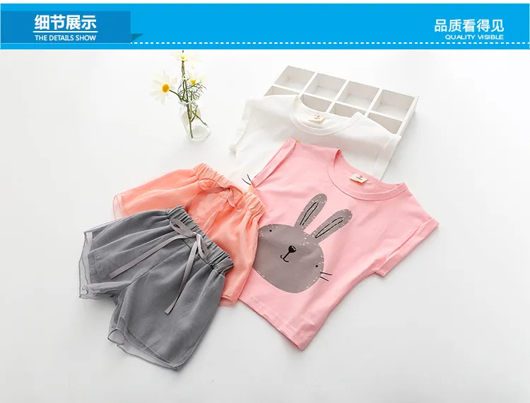 Girls Clothing Set Summer 2-10 Years Old Kids Baby Girl Cartoon Rabbit Print T Shirt+Shorts Sports 2 Piece Outfits Suit Set (14)