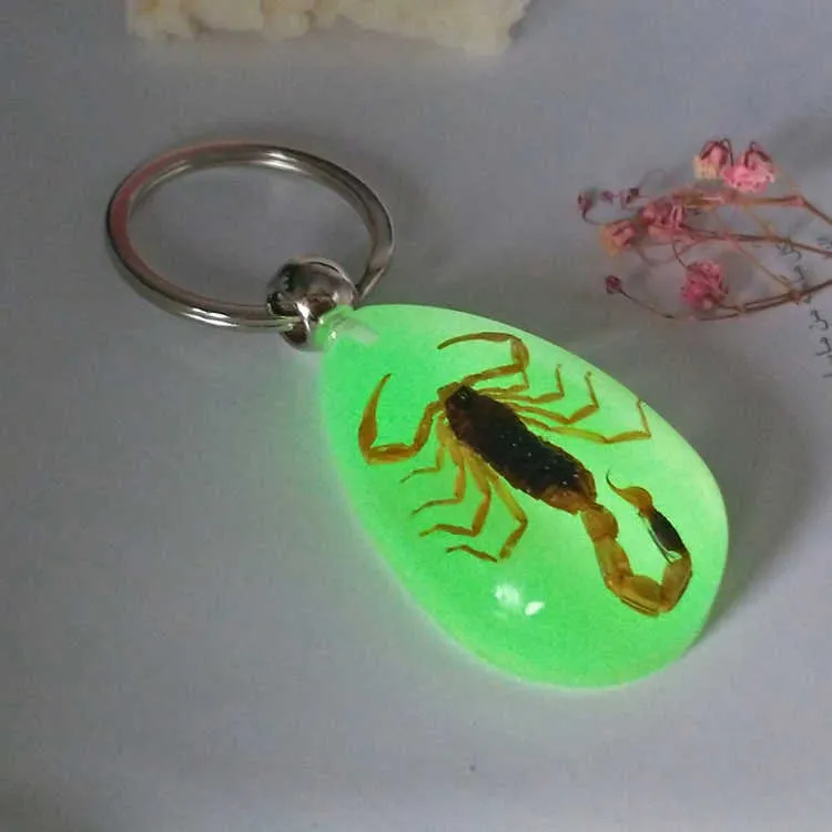Lysande Scorpion Keychain - Ny Lysande Produkt Real Crab och Scorpion Key Chain Bag Car Key Ring # 17067 G1019