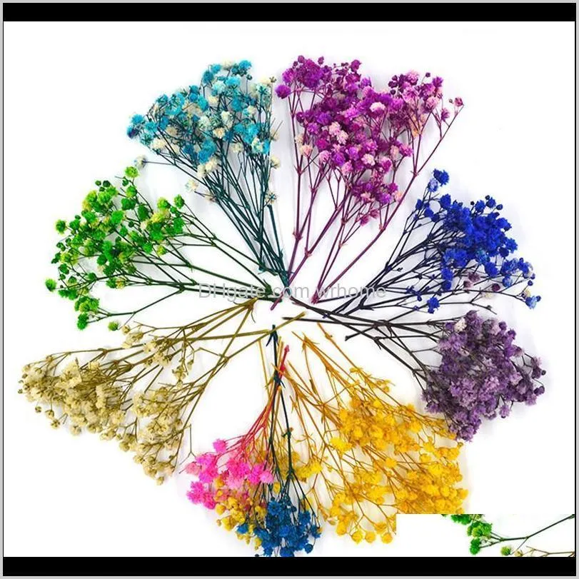 Wreaths Festive Party Supplies Garden20Cm Natural Plant Dried Flowers Gypsophila Miniature Immortal Bouquet For Creative Handmade Home Decor