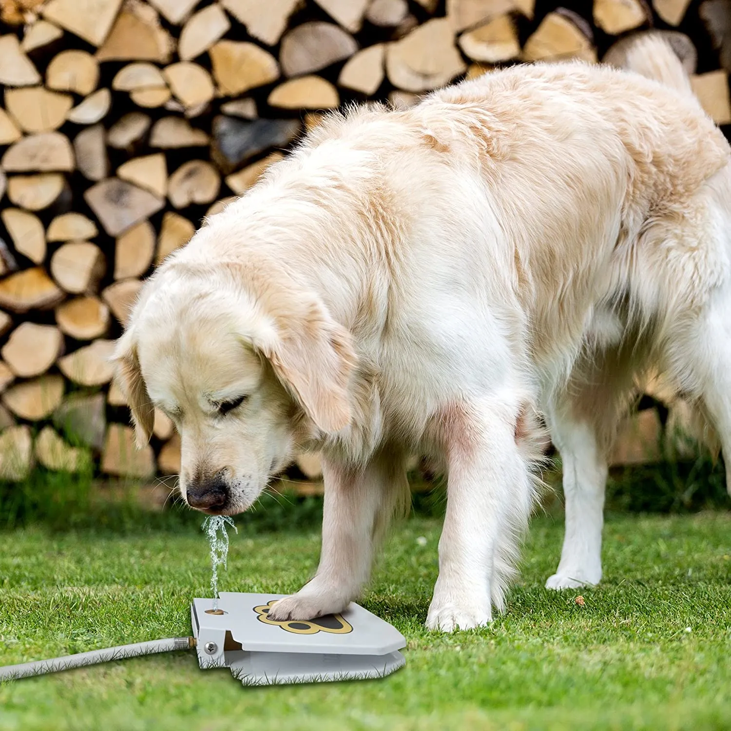 Cão Ao ar livre bebendo fonte de água Step on, fácil pata ativada bebida Pet Dispenser, fornece água fresca, resistente, fácil de usar