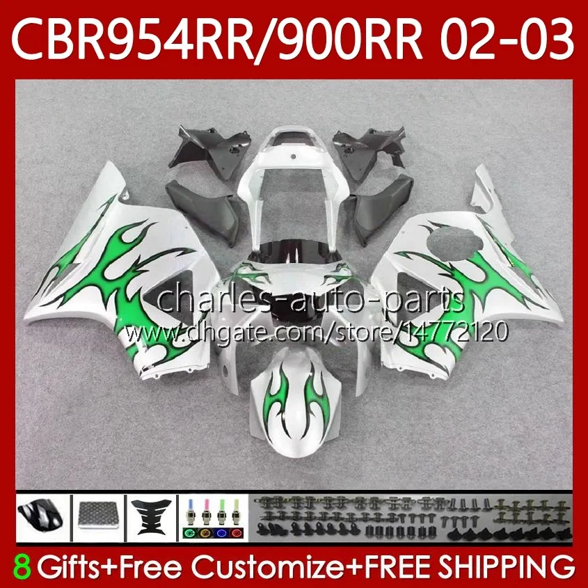 Body Kit for Honda CBR954-RR CBR900RR 2002-2003 BodyWork 61NO.134 CBR954RR緑色銀CBR954 CBR900 CBR 900 954 RR CC 900CC 2002 2003 CBR 954RR 900RR 02 02