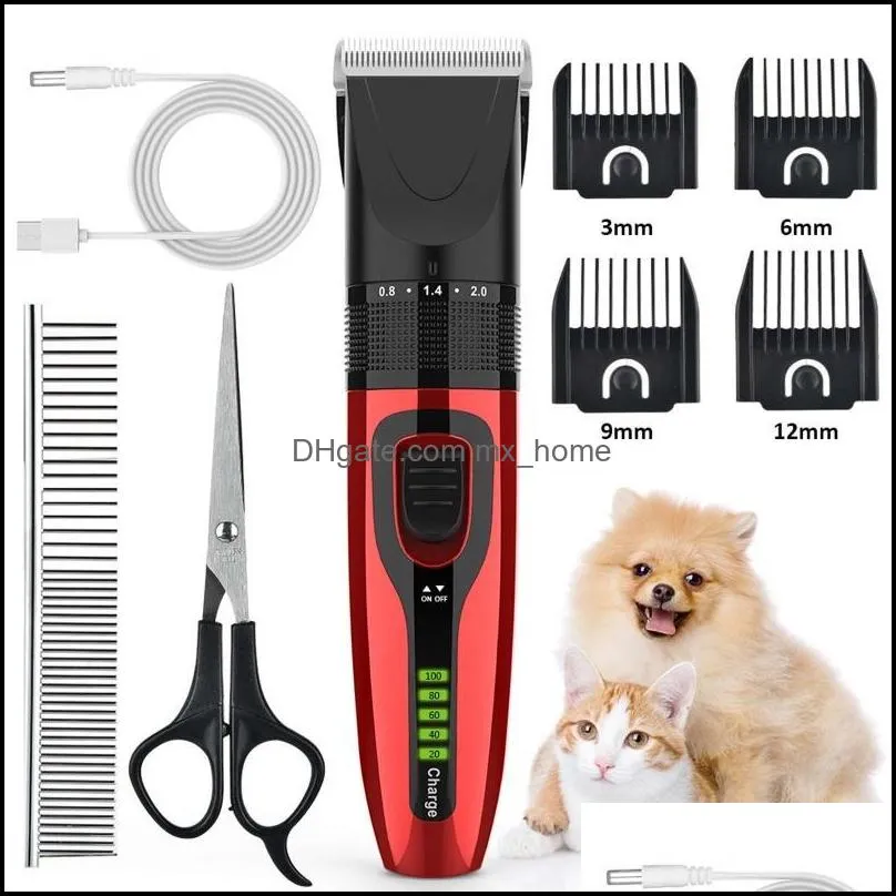 What Type Of Grooming Tools Are Best For Corgis