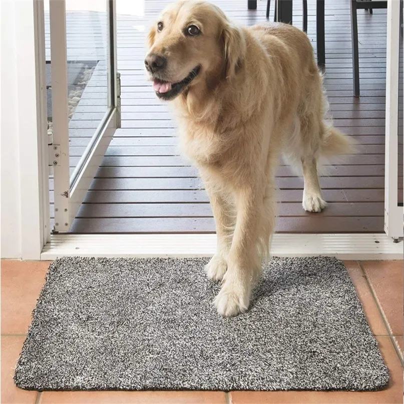 Magic Dust Removal Absorbent Door Mat Indoor Entrance mat For Outdoor Rugs Outside Anti Slip Front Foot Carpet 220301
