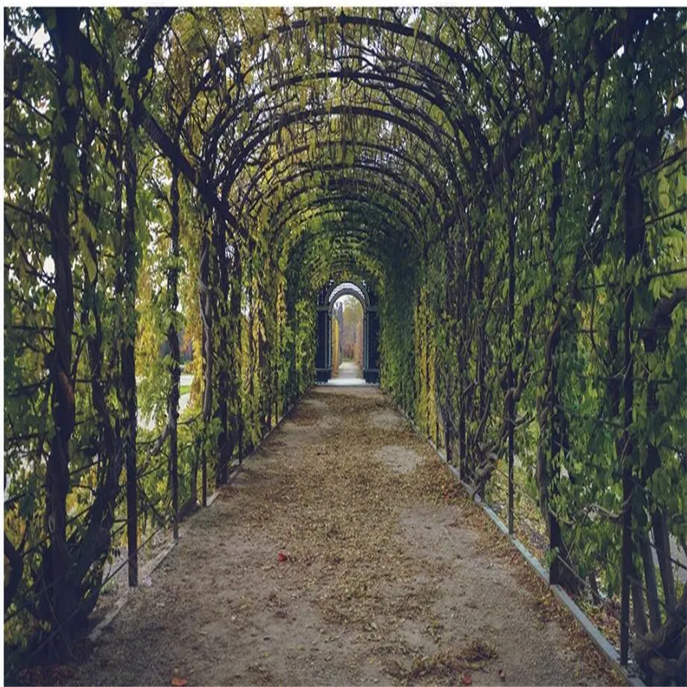 Sfondi moderni del giardino del corridoio della vite in stile europeo per il salotto Wallpaper del paesaggio 3d