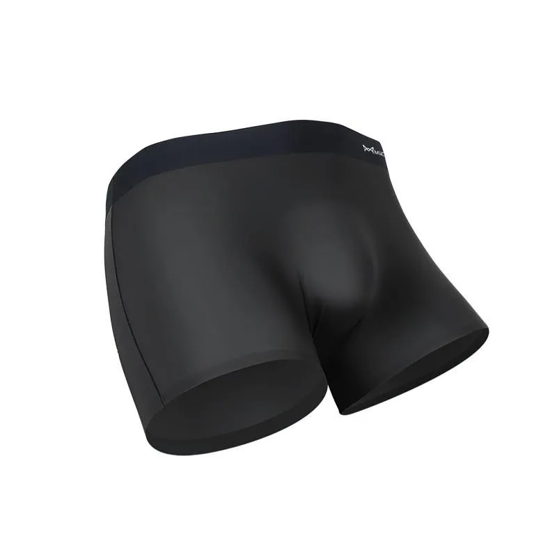 Underbyxor sexiga underkläder för män boxare sömlösa trosor man transparent is silkespåse man bekväma boxershorts plus storlek