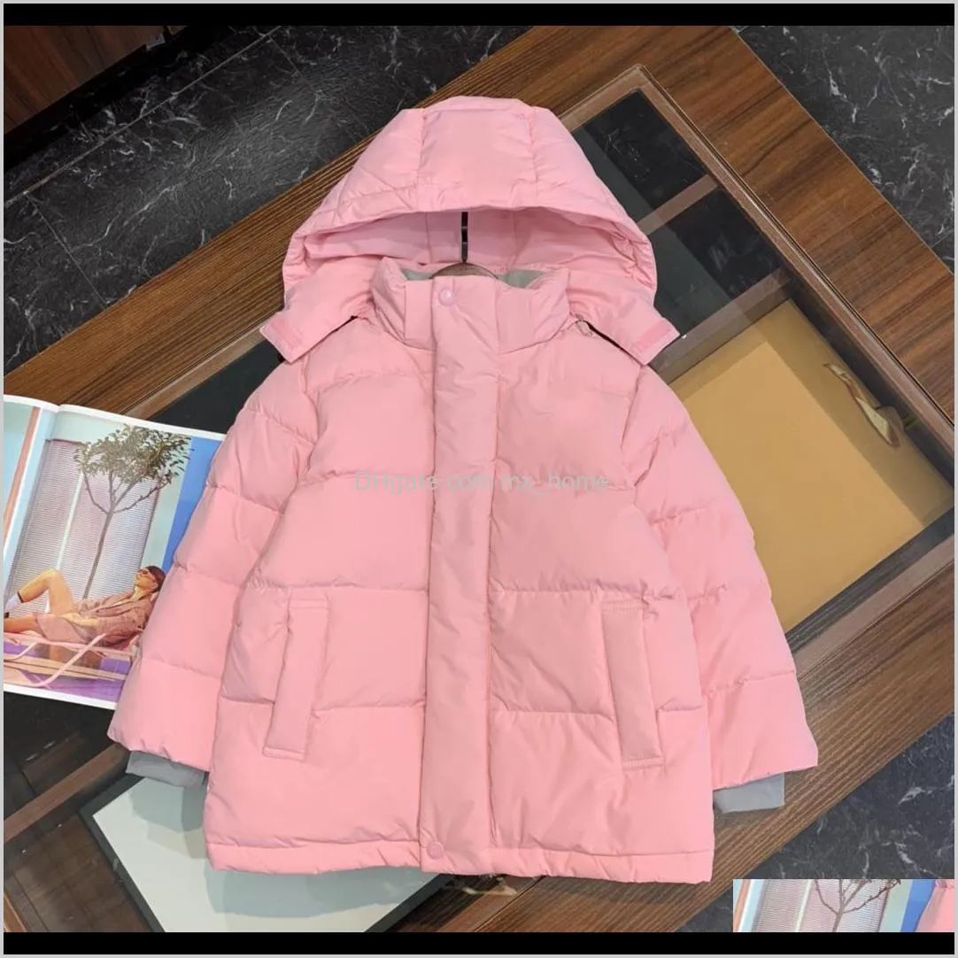 hooded thickened imported white duck down warm down jacket high-tech back luminous pressure wind boys and girls jacket shipping