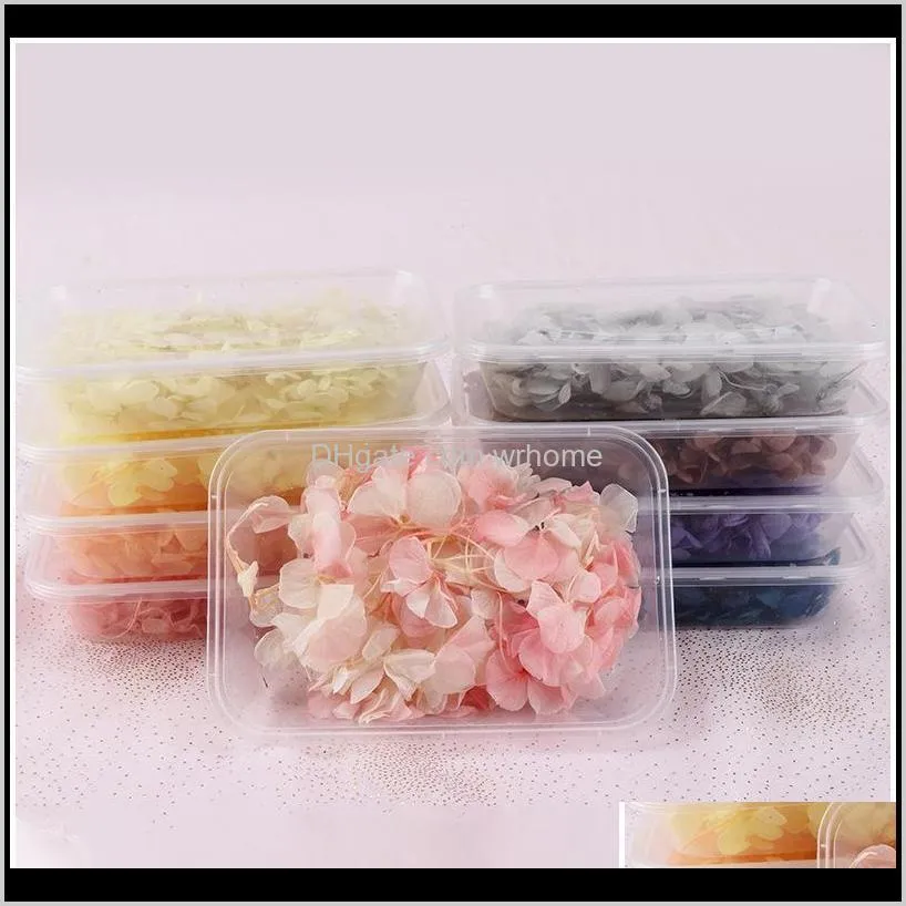 luanqi 1box real dried flower eternal small leaves hydrangea diy flowers natural bouquet wedding accessories decorative & wreat