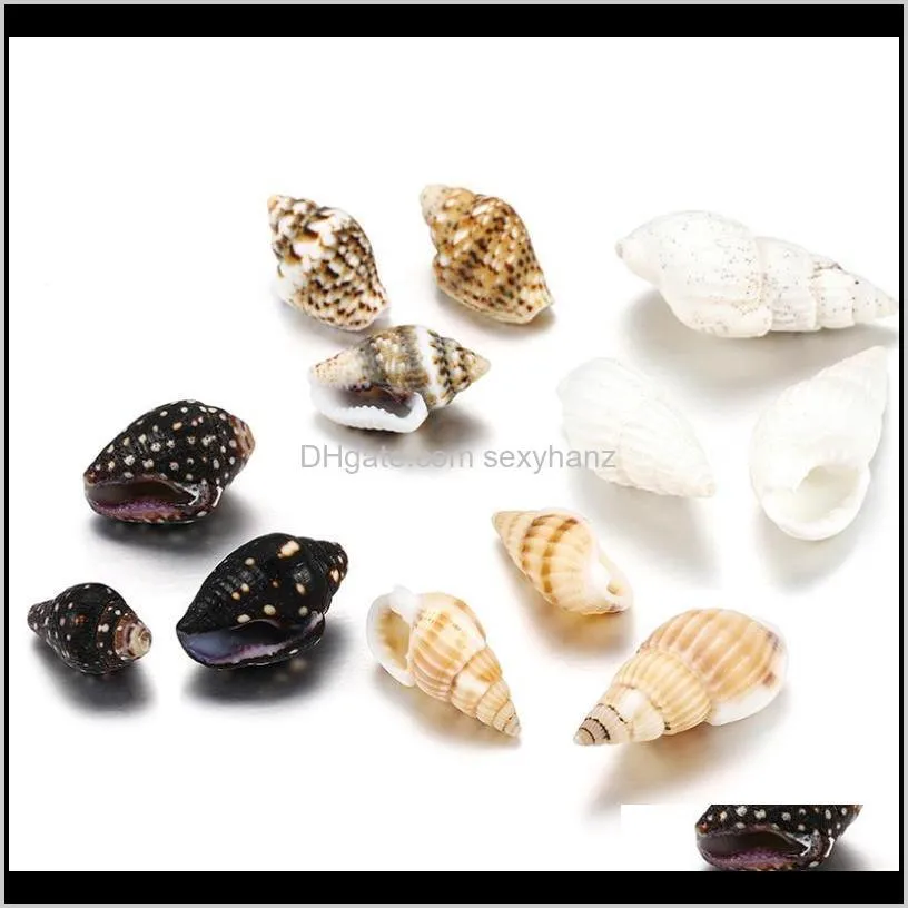50g/lot natural small conch shape craft shell diy for jewelry making necklace chain epoxy craft seashell accessories supplies
