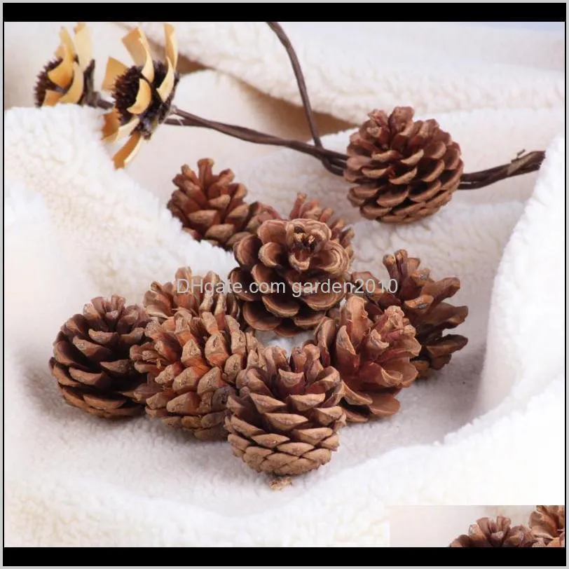 10pcs natural pine cones photo props accessories christmas decoration tree toppers pinecone xmas new year diy party decoration1