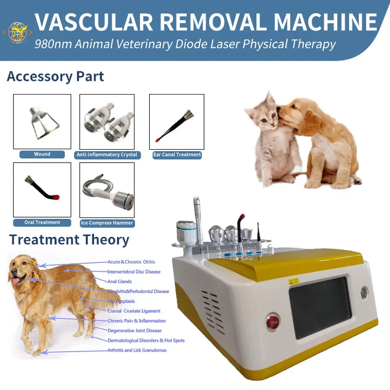 Minceur Machine Plus récent Animal Laser Therapy 980nm Vétérinaire Diode Physique Physiothérapie Opt Dispositif Médical