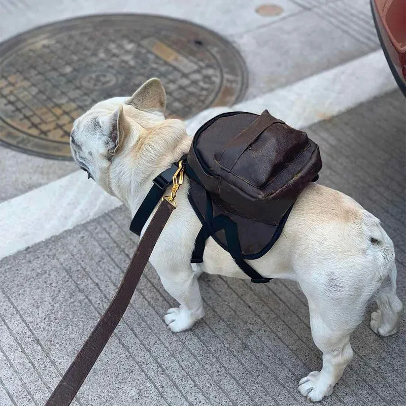 Süße Hunde-Ledertasche mit Leinen-Set, Haustier-Schultasche, Hunde-Katzen-Rucksack, praktisch, klein, mittelgroß