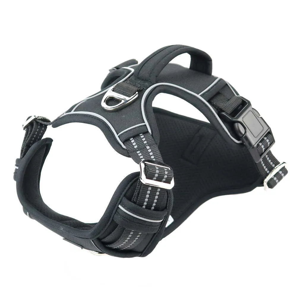 Jump restraint dog best sale harness