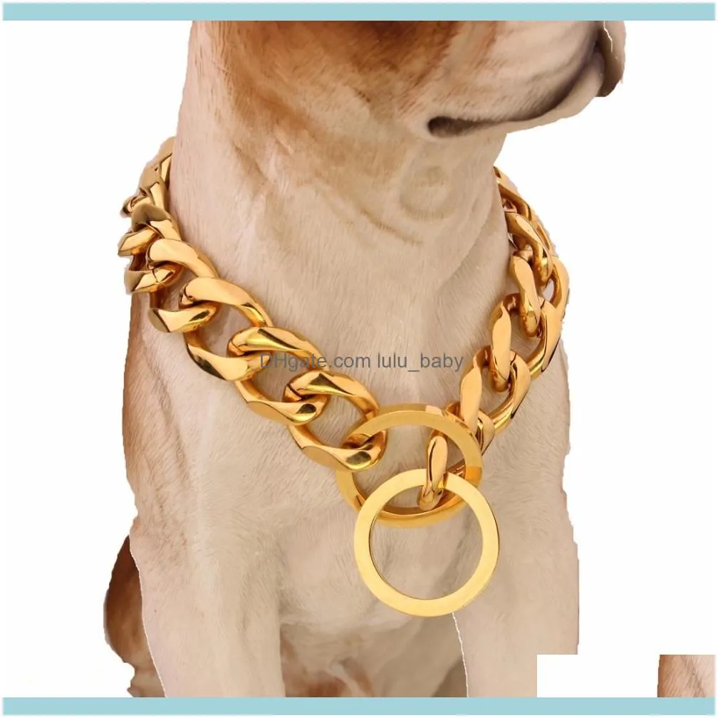 Chains Gold Tone Stainless Steel Training Dog Collar 19mm Wide Fancy Slip Chain For Large Dogs Pitbull Doberman1