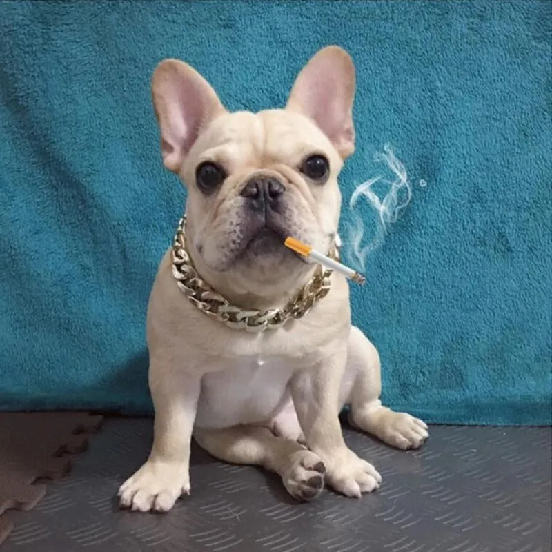 Gold Chain Collar For Dog Tone Cut Curb Cuban Pet Link Customize Wholesale Jewelry Pets Gift Necklace Neck Golden Collars & Leashes