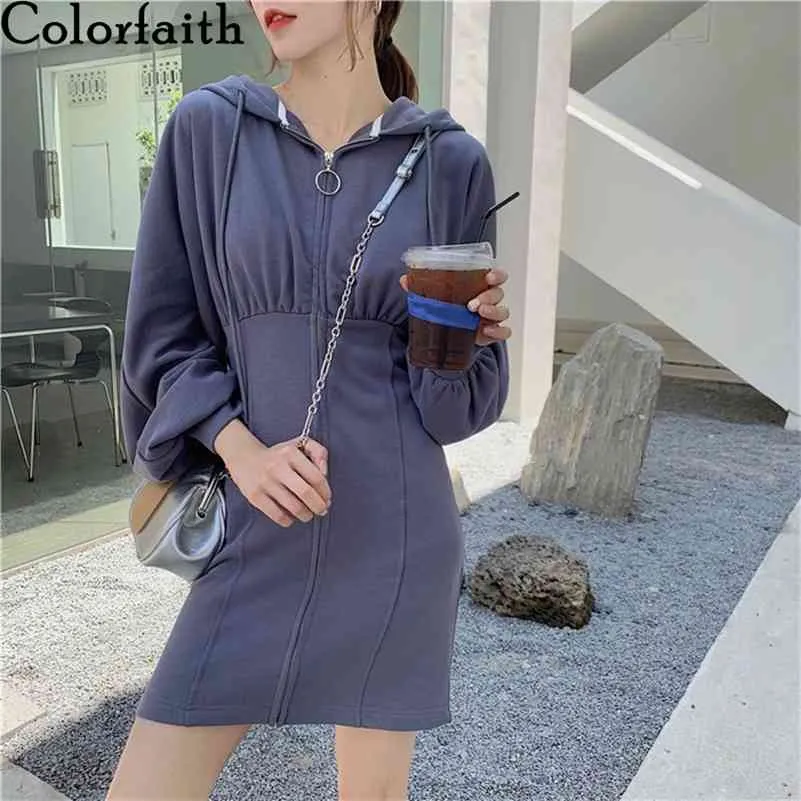 Autumn Winter Women's Hooded Dress With Zipper, Lantern Sleeves ...