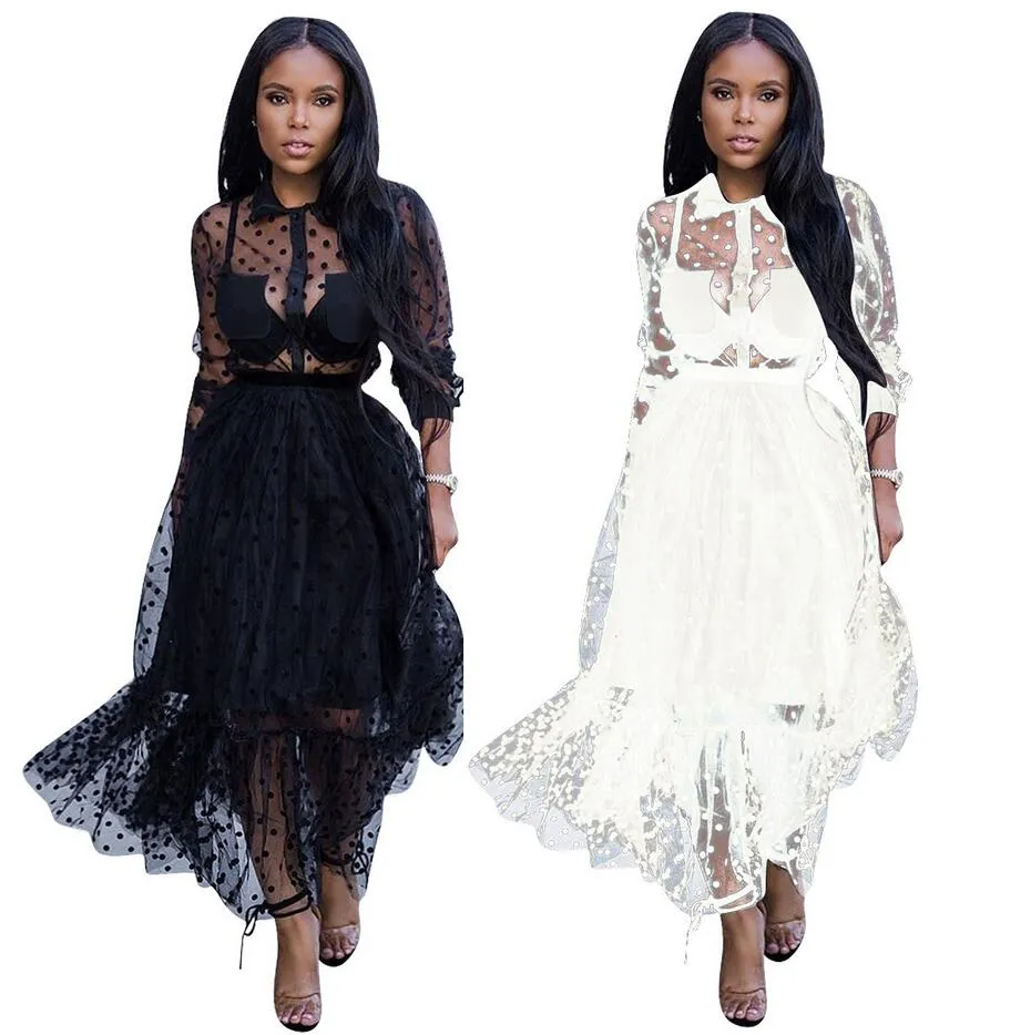 Chic Polka Dot Mesh Party Dress Sexy See-Through Nightclub A-Line Dress  with Long Sleeves Turn-Down Neck, Ankle Length