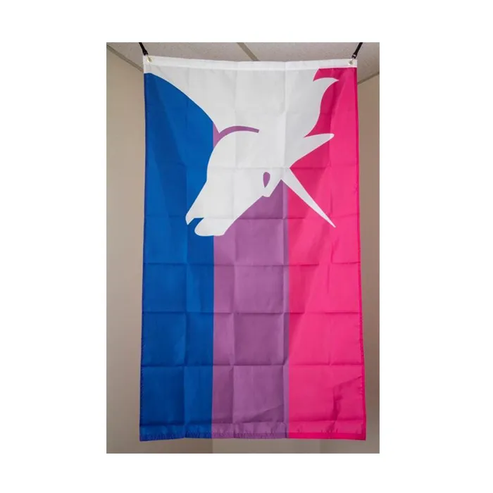 Drapeaux de maïs bisexuels 3x5ft 100D Polyester fête d'anniversaire de haute qualité avec deux œillets en laiton