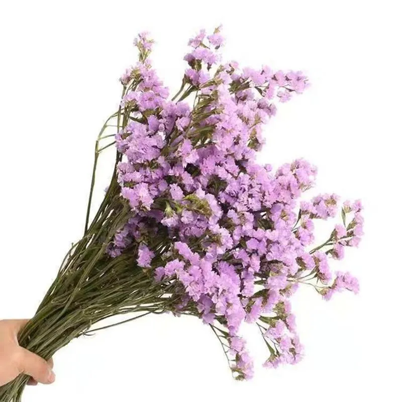 Flores decorativas grinaldas yomdid naturalmente seco buquê esquecer-me-não real para dia dos namorados casamento casamento jardim cenário decoração