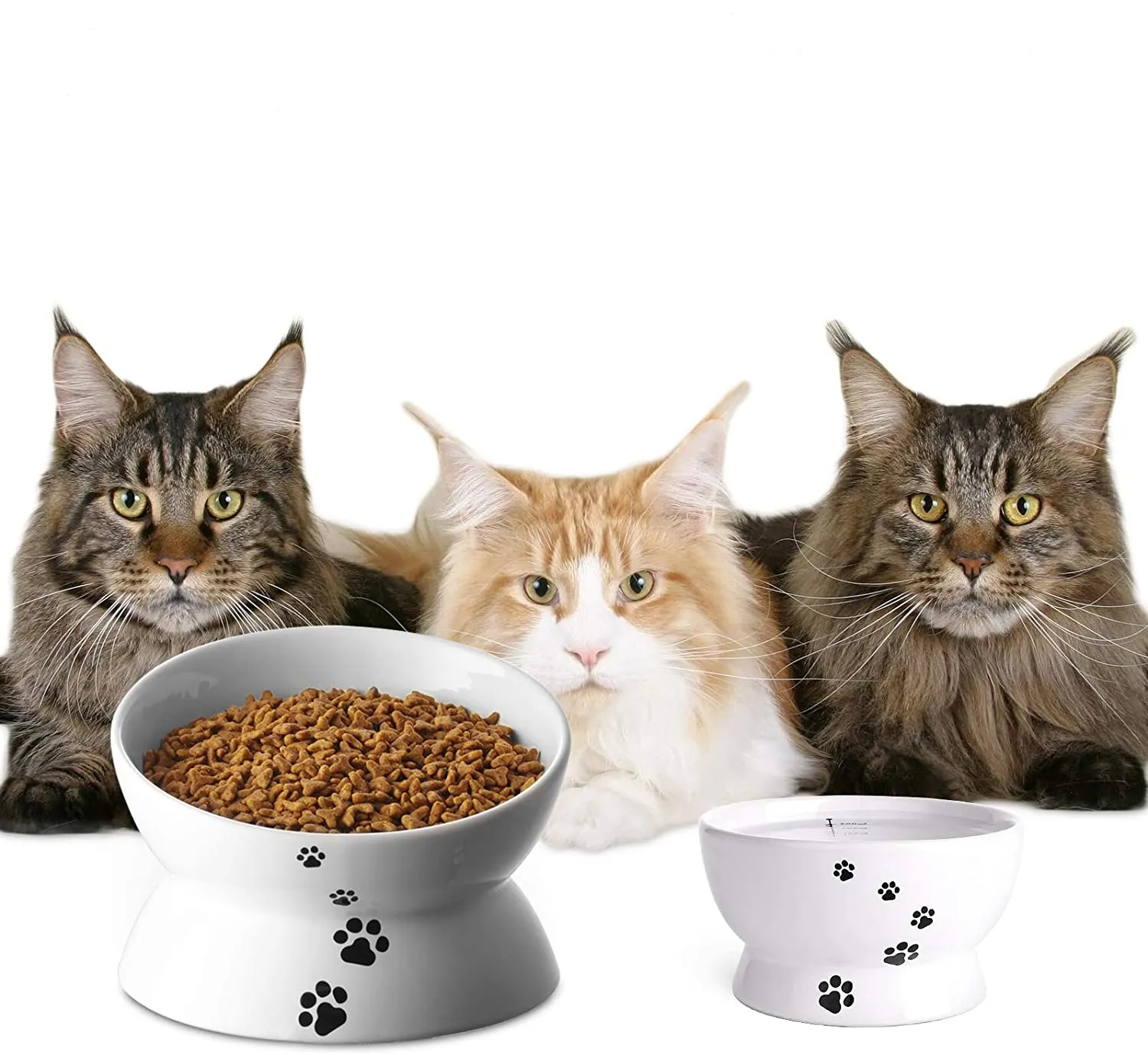 Ceramiczny Mały / Przechylony Podwyższony Cat Bowl Unosed Food Water Dish No Spill Pet Comfort Karmienie