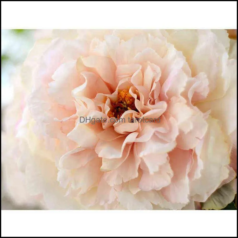 Big Five-Head Royal Peony Artificial Silk Flowers For Home Decorations Wedding Bouquet For Bride High Quality Fake Flower 220110