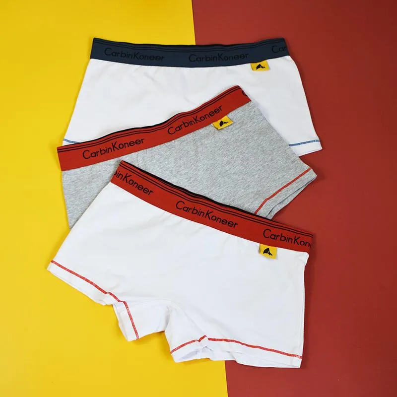 Compra Calzoncillos Para Mujer Ropa Interior De Algodón Boxeador De Algodón  Les Marea Ancha De Ancho Cintura Media Grande Deportes De Gran Tamaño  Barato | Entrega Rápida Y Calidad | Es.Dhgate