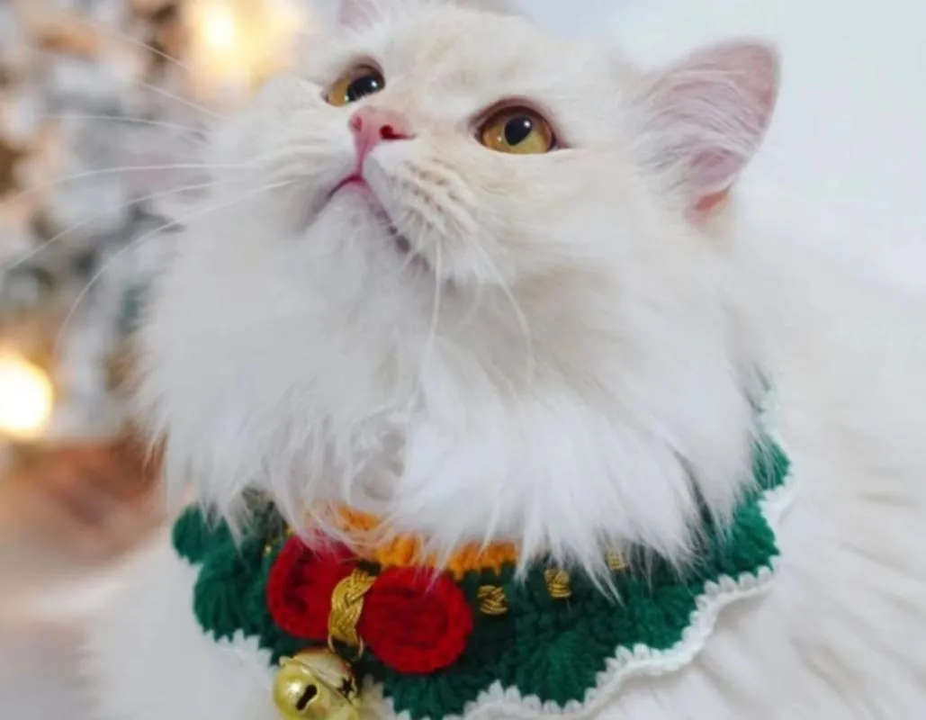 Colliers de chat laisse tissé vert noeud papillon collier collier pour Noël à la main chien chiot tour de cou porte-clés cloches colorées chaton anneau année