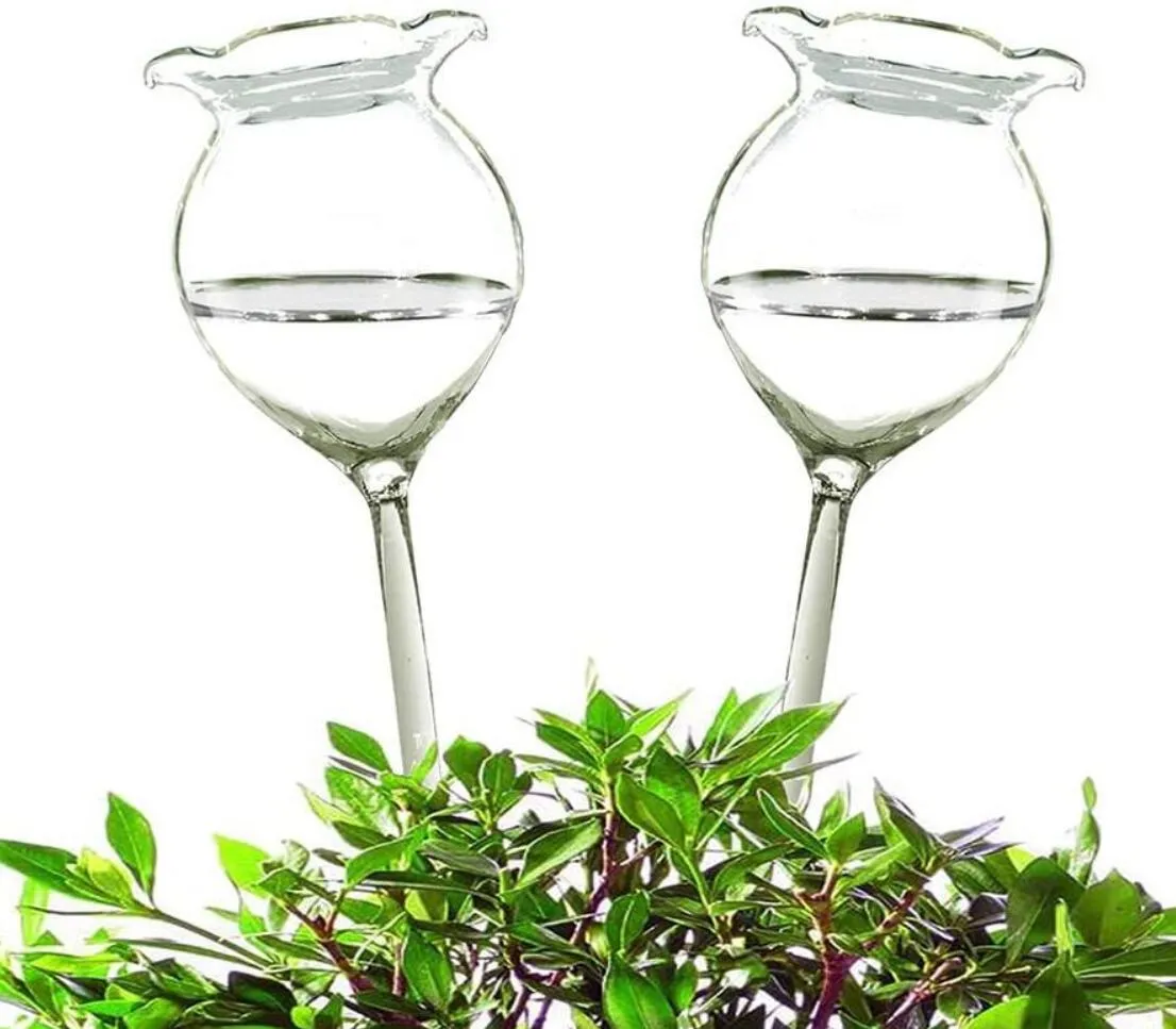 Plant Waterer Self Watering Globes Hand Blown Clear Glass Plant Water Bulbs for Indoor Outdoor 2 Flower Shape