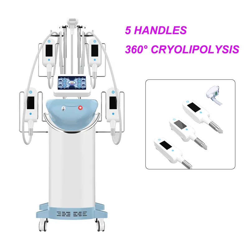 Nieuwe Vet Freezing Cryolipolysis Machine Body Slimming Machine Vet Vrieze Afvallen Gewicht Schoonheidsapparatuur Lichaamsvorm Machine