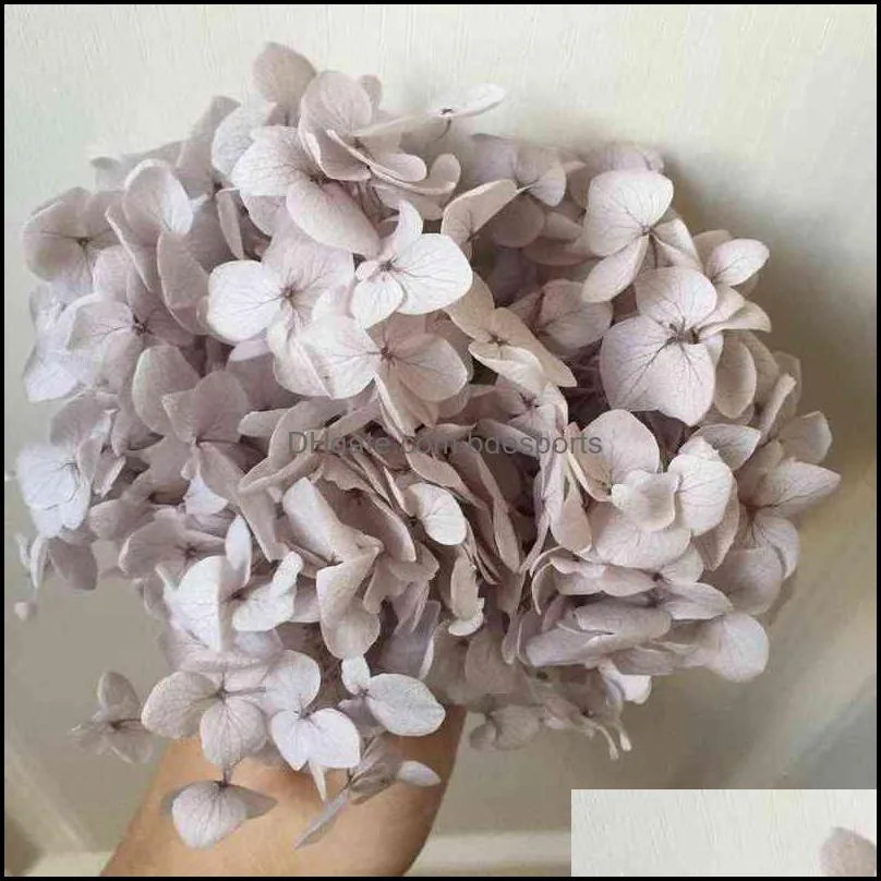 20g/lot,High quality Preserved Anna Hydrangea flower,Nature Flower Head for DIY gift box,Real Eternal Wedding party Decoration 220110