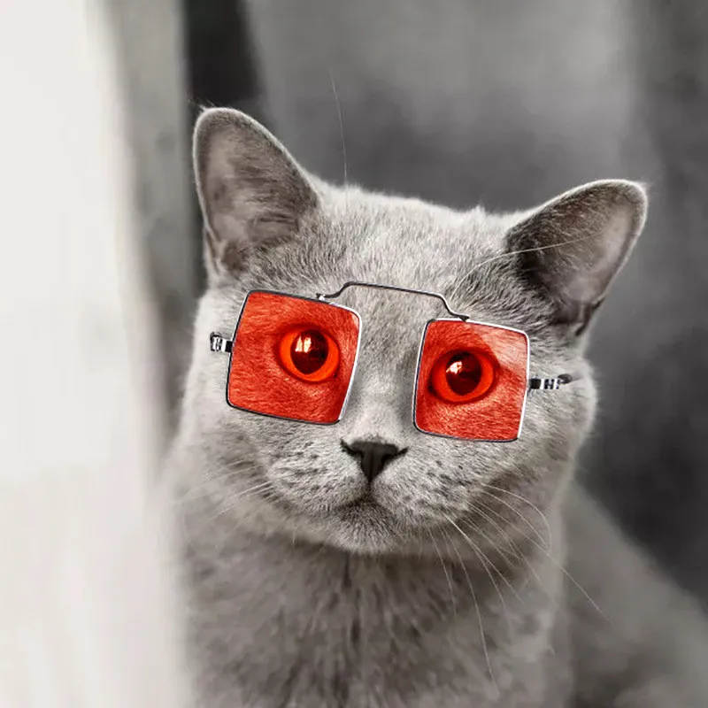 Trendy Pet Solglasögon Smycken Creative Cat Dog Skyddsglasögon Foto Roliga Props Personifierad valpdekoration