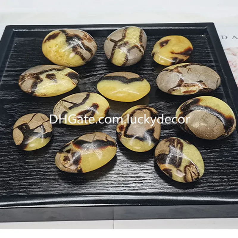 FreeForm Cilalı Madagaskar Dragon Septarian Geode Kristal Taş Sanatlar Doğal Septarium Nodule Kaplumbağa Kabuk Gemstone Palmiye Taşları Anksiyete Stres Rölyef için