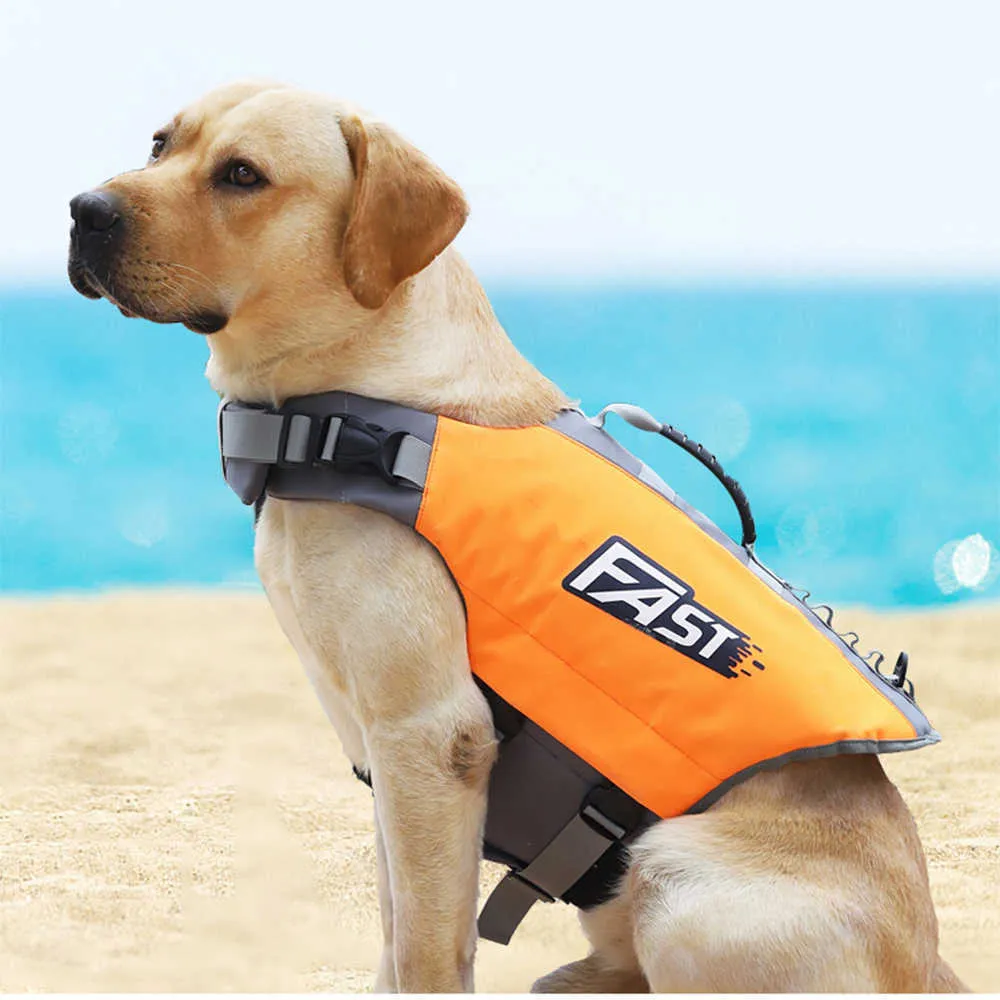 Best dog best sale harness for swimming