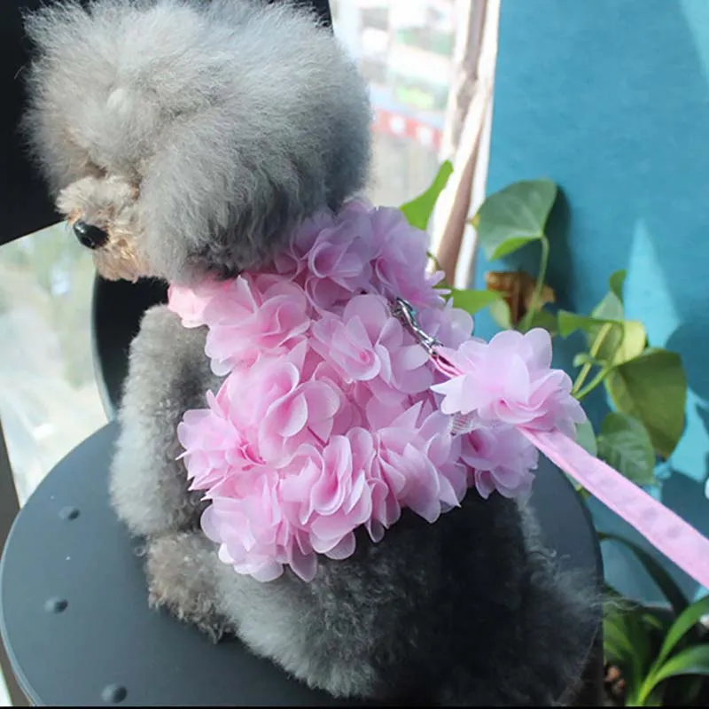 Trois dimensions fleur petit chien harnais gilet laisse costume Pitbull chiot harnais Beagle accessoires pour animaux chats produits
