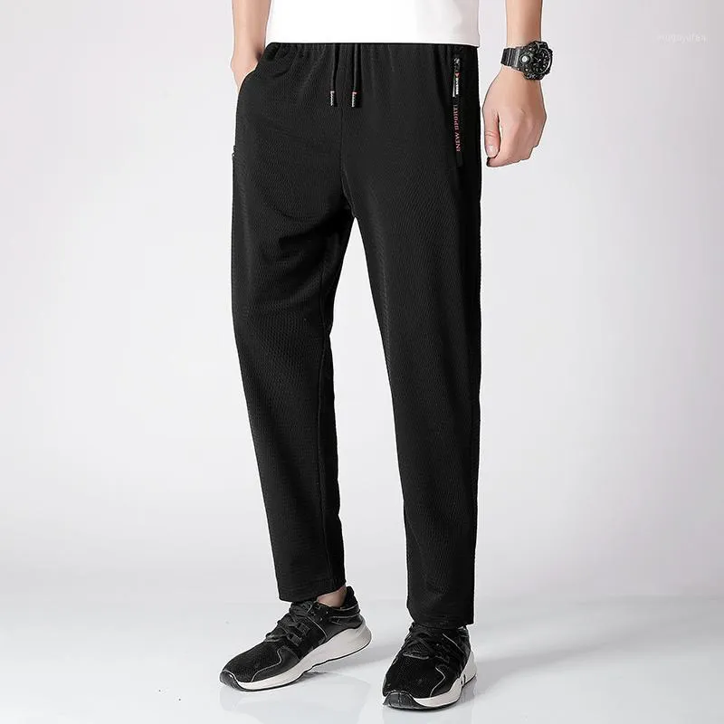 joggers for trekking