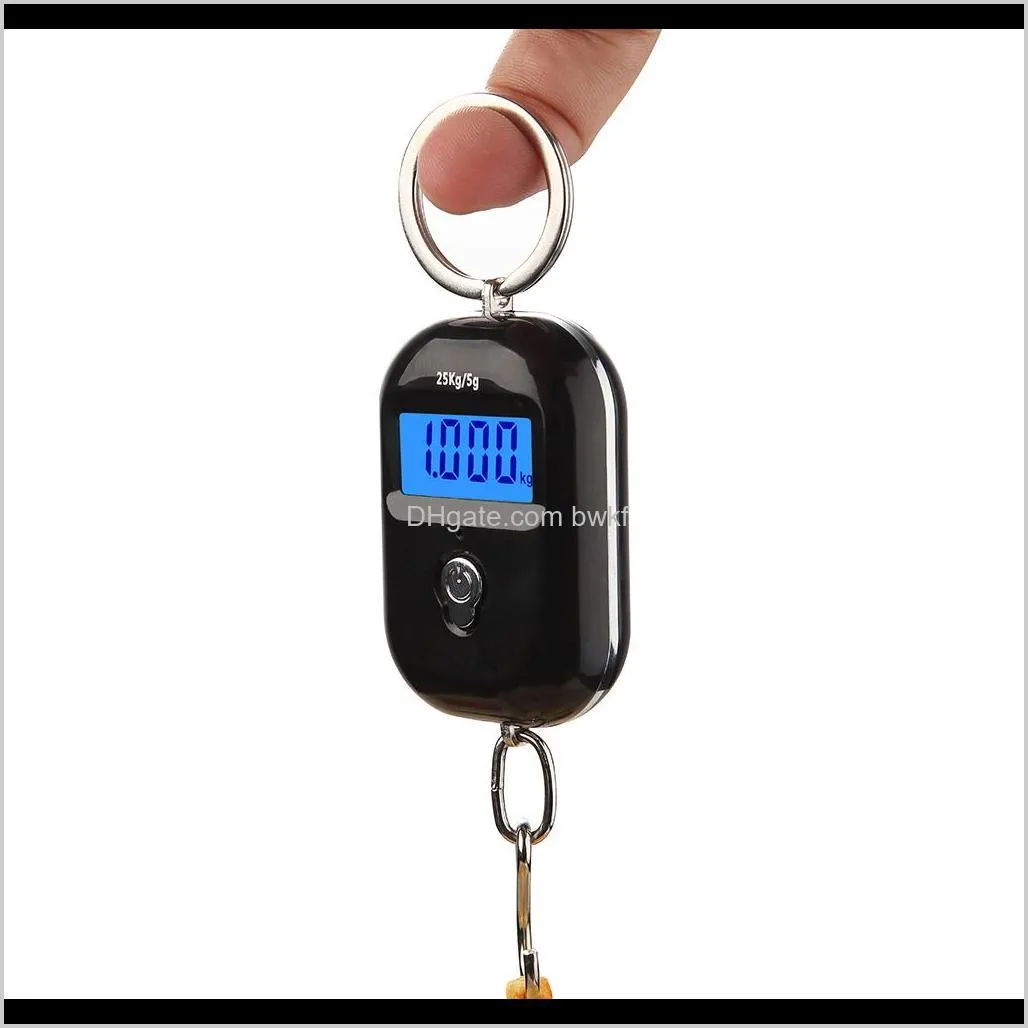 Scales Household Sundries Home & Garden Drop Delivery 2021 25Kg X 5G Digital Hanging Mini Electronic Lage Hook Scale Lcd Backlight Kitchen St