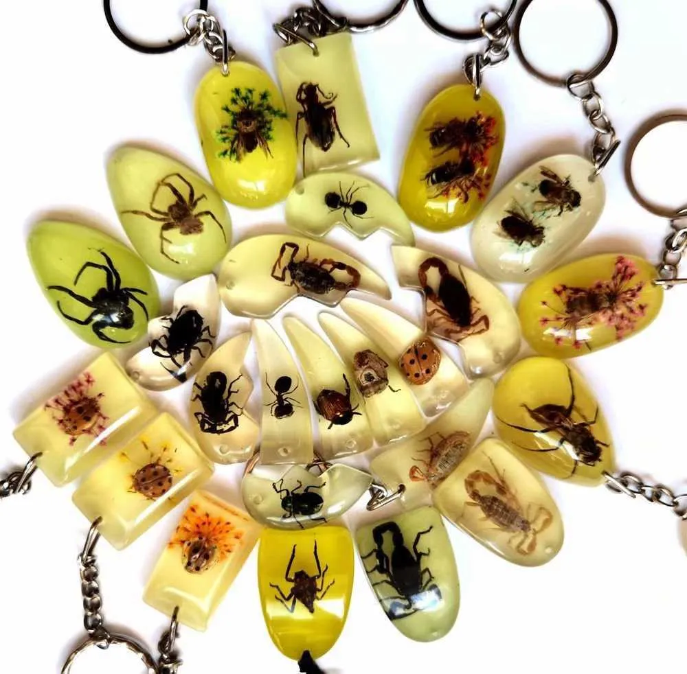 Yqtdmy 12 Stück gemischter Stil Insekt Skorpion Biene Schlüsselanhänger Insektenprobe Schlüsselanhänger Kunsthandwerk H0915