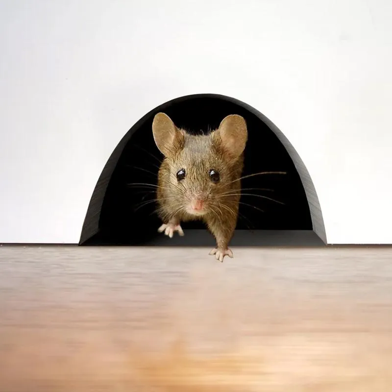 Naklejki ścienne DIY 3d Mouse Hole Naklejka Kreatywny Scardy Myszy Naklejki Realistyczne Schody Kryte i Outdoor Decoration # 38