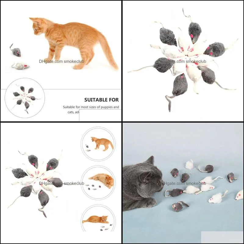 Cat Toys 12pcs Adorable Chew Pet Interactive Plaything Simulation