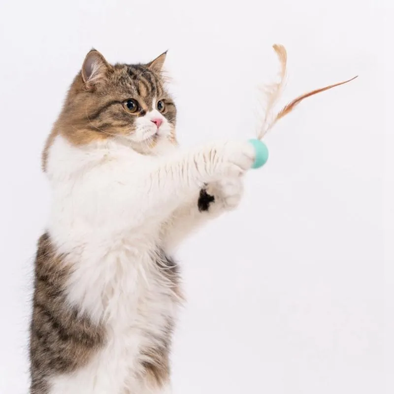 Brinquedos de gato 3 pcs jogar brinquedo engraçado bola de gatinho interativo com penas falsificadas alimentação de produto de alimentação