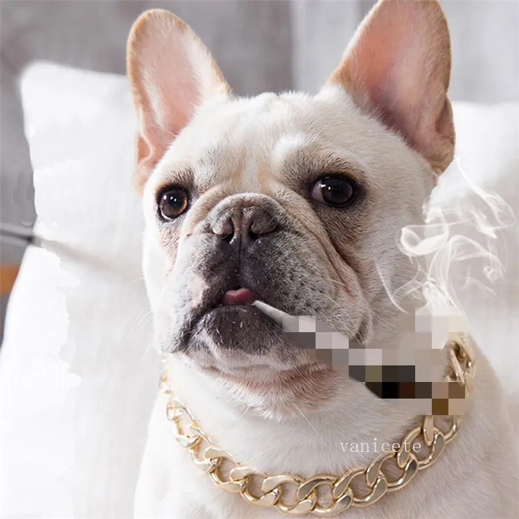 Halsbanden metalen grote gouden kleur ketting zomer huisdier mode-accessoires Bulldog kraag kleine honden huisdieren kettingen ZC4952193