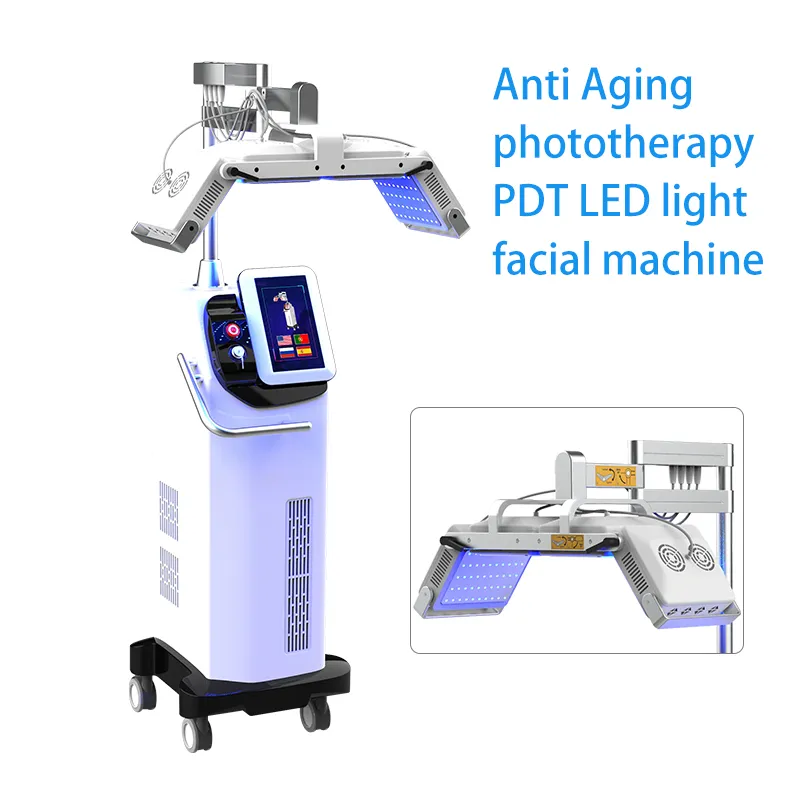 Alta qualità PDT Light Skin Care Beauty Machine Facial SPA led Therapy Ringiovanimento della pelle Acne Rimuovi antirughe 2 anni di garanzia