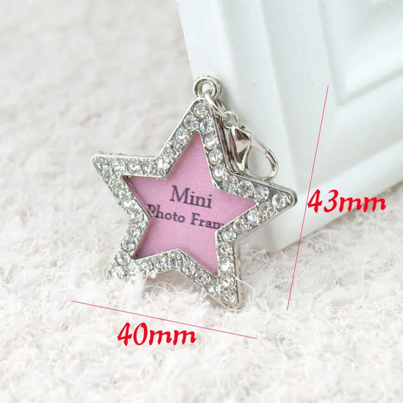 Dog mini Cute ID Tag Personalized Pet Handwriting Pets Name Photo Frame For Cat Puppy Dogs Collar Tag Pendant plum Bossom star Design HH21-800