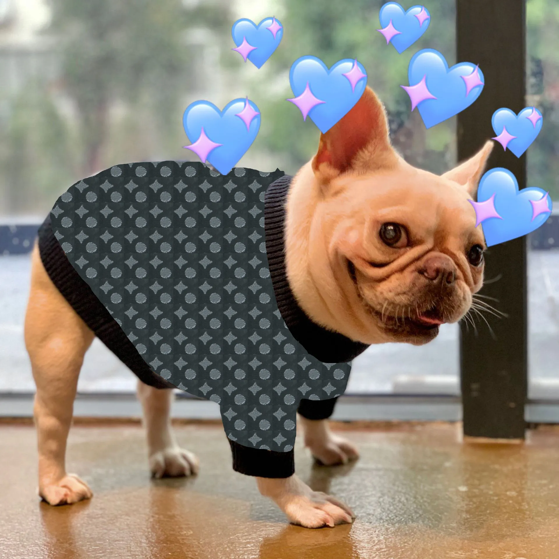 Cute small outlet dog sweaters